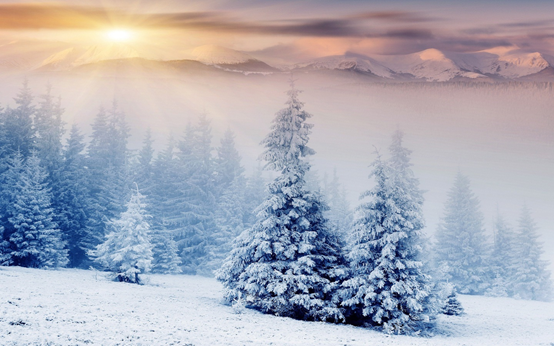 雪景